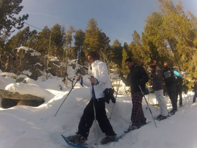  Snowshoes 